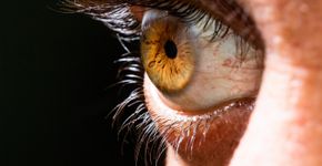 Foto: (iStock/Hasret Sonmez)