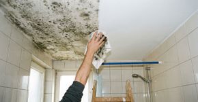 Por que você deve passar um pano com vinagre no teto do banheiro antes de pintar