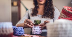Foto: (iStock/Joyce Diva)