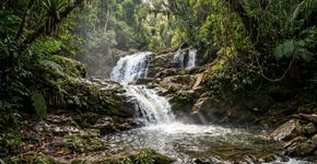 Trilhas de 3,5 quilômetros cruzam a floresta amazônica e levam a uma cachoeira: o parque amazonense de mais de 2 milhões de hectares onde a Cachoeira do Itaubal se esconde entre as árvores da região do Rio Negro.