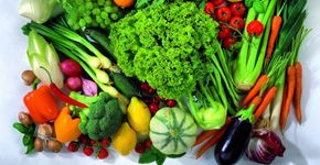 Estudo analisa impactos de uma dieta vegana em todo o mundo
