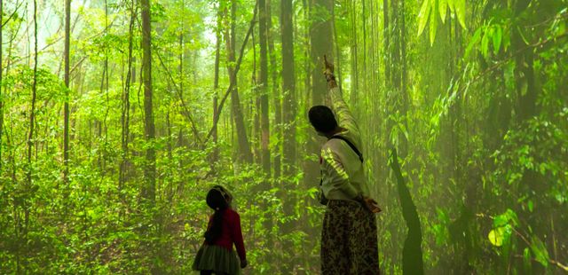 Mostra ‘Sentir Mundo’
