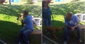 Rapaz perde 22 quilos após tratamento e cachorro não o reconhece
