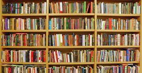 Aplicativo ajuda usuários a escolher livros pelo conteúdo