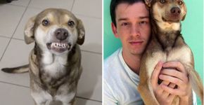 Dono de Ninão comunica morte do amigo em homenagem comovente
