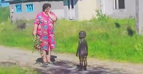 20 fotos que comprovam que é divertido ter um filho
