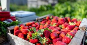 Foto: (iStock/ Hispanolistic)