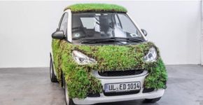 Contra poluição, empresa alemã testa carro forrado de plantas