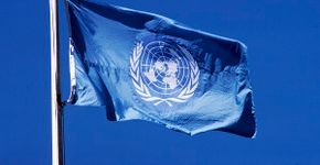 ONU anuncia oportunidades de emprego para diversas áreas