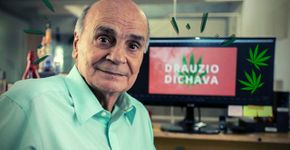 Youtube: Dr. Dráuzio Varella dá a real sobre a Maconha