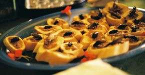 Os melhores festivais de vinho e gastronomia da Nova Zelândia