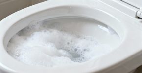 O truque da vovó que deixa o vaso brilhando sozinho enquanto você dorme