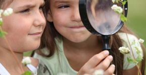 Estudo canadense investiga o papel <br>da natureza no aprendizado