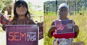 Petição pede que Cerrado e Caatinga virem Patrimônio Nacional