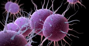 Foto: (iLexx/istock)