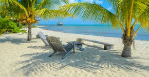 Foto: (Simon Dannhauer/iStock)