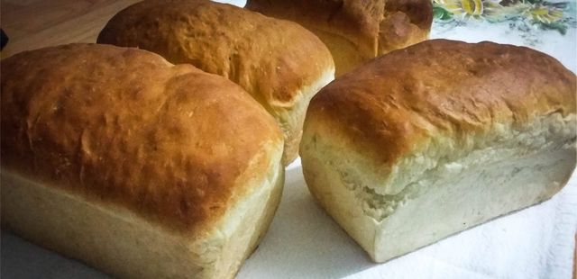 Pão caseiro sem glúten irresistível!