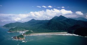 Foto: (Divulgação/Fundação Florestal)