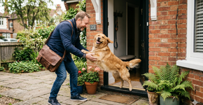 Seu cachorro não está “feliz” quando você chega em casa: o que ninguém te contou sobre a ansiedade extrema que você mesmo pode estar causando