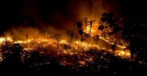 Foto: (Daniel Beltrá/Greenpeace)