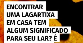 Uma lagartixa em casa tem algum significado para seu lar?