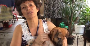 A protetora que resgata cães e gatos abandonados na cracolândia