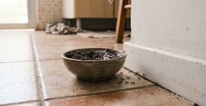 Misturar café usado com bicarbonato de sódio: para que serve e quais os seus benefícios