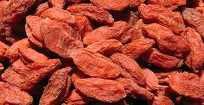 Goji berry ajuda a emagrecer e melhora o sistema imunológico