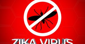 7 coisas que você precisa saber sobre o zika vírus