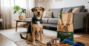 Quanto custa ter um cachorro de porte médio no primeiro ano de vida?