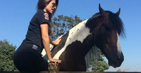 Carinho de Paula Fernandes não agrada e cavalo morde sua barriga
