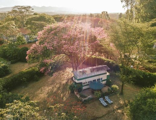 Esse ônibus foi totalmente transformado em uma casa de dois andares super espaçosa e confortável. O melhor é que ele nunca estará lotado e você só ficará de pé se quiser! 