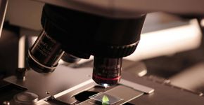 Cientistas anunciam avanço que pode eliminar HIV de vez