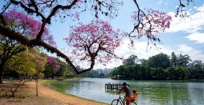 5 rotas de bike para aproveitar a primavera no Brasil