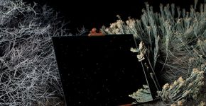 Fotógrafo usa espelhos em ensaio em parque na Califórnia
