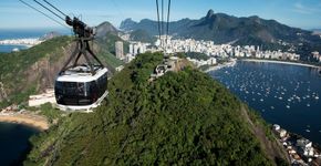 Foto: (Divulgação)