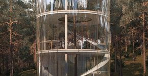 Casa é construída em volta de árvore de maneira totalmente integrada à natureza