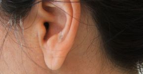Auriculoterapia