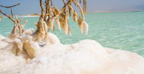 Foto: (suprunvitaly/iStock)