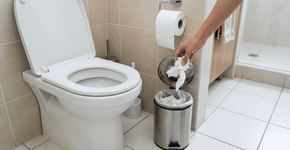 Só mais tarde percebi por que não se deve jogar papel higiênico no vaso sanitário