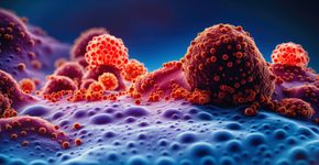 Foto: (iStock/koto_feja)