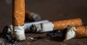 Foto: (Dmytro Skrypnykov/iStock)