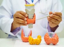 Featured side: Dia Internacional da Tireoide: 6 curiosidades sobre a glândula