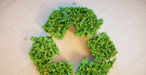 Plataforma on-line oferece curso gratuito de sustentabilidade