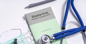 Hantavírus: veja as formas de transmissão e se há risco de pandemia