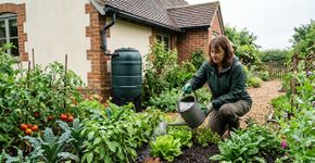 Especialistas em horticultura concordam: “A água da chuva acumulada em recipientes próprios nem sempre deve ser jogada fora.”