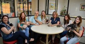 Empresa promove pet day para conscientizar colaboradores em SC