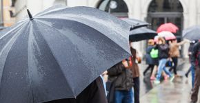 Foto: (chris-mueller/istock)