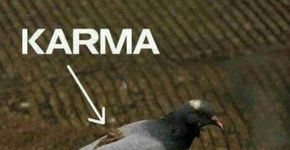 Ação e reação: o que é karma para você?