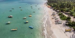Foto: (Istock/Janilson Paiva)